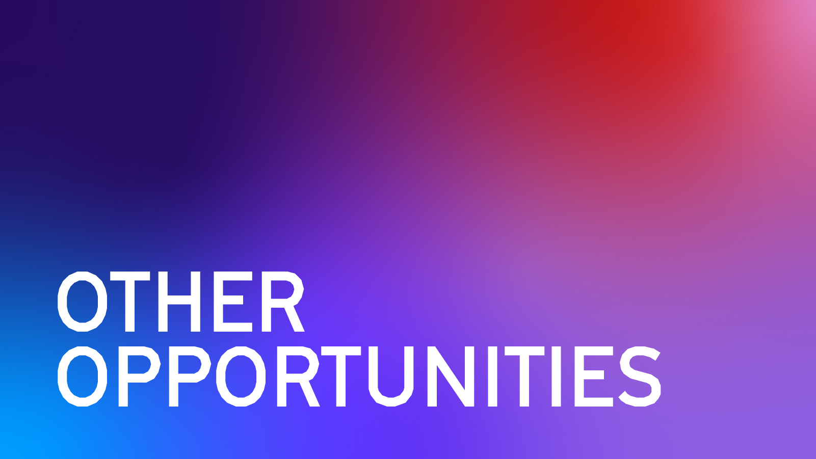 Other Opportunities